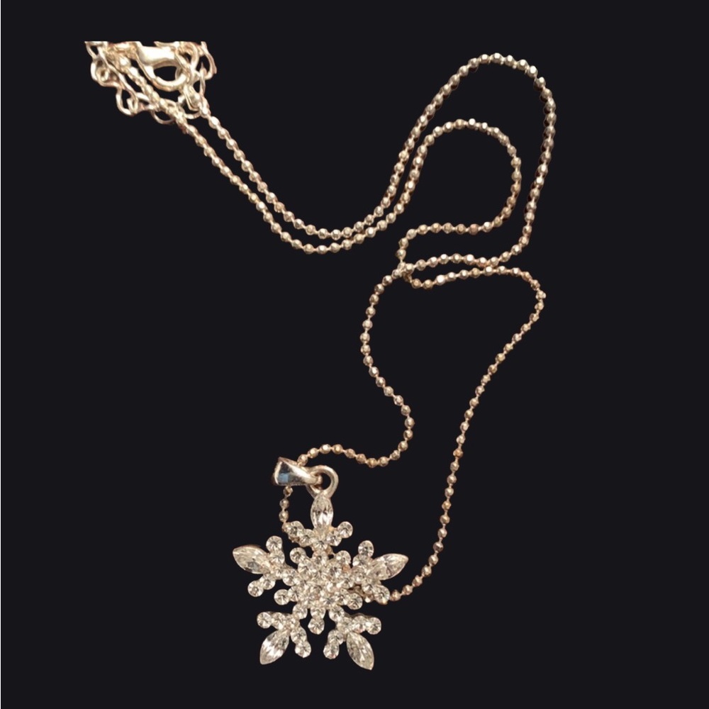 Bundle 2 for $20 . Cute Silver tone Necklace with chain
